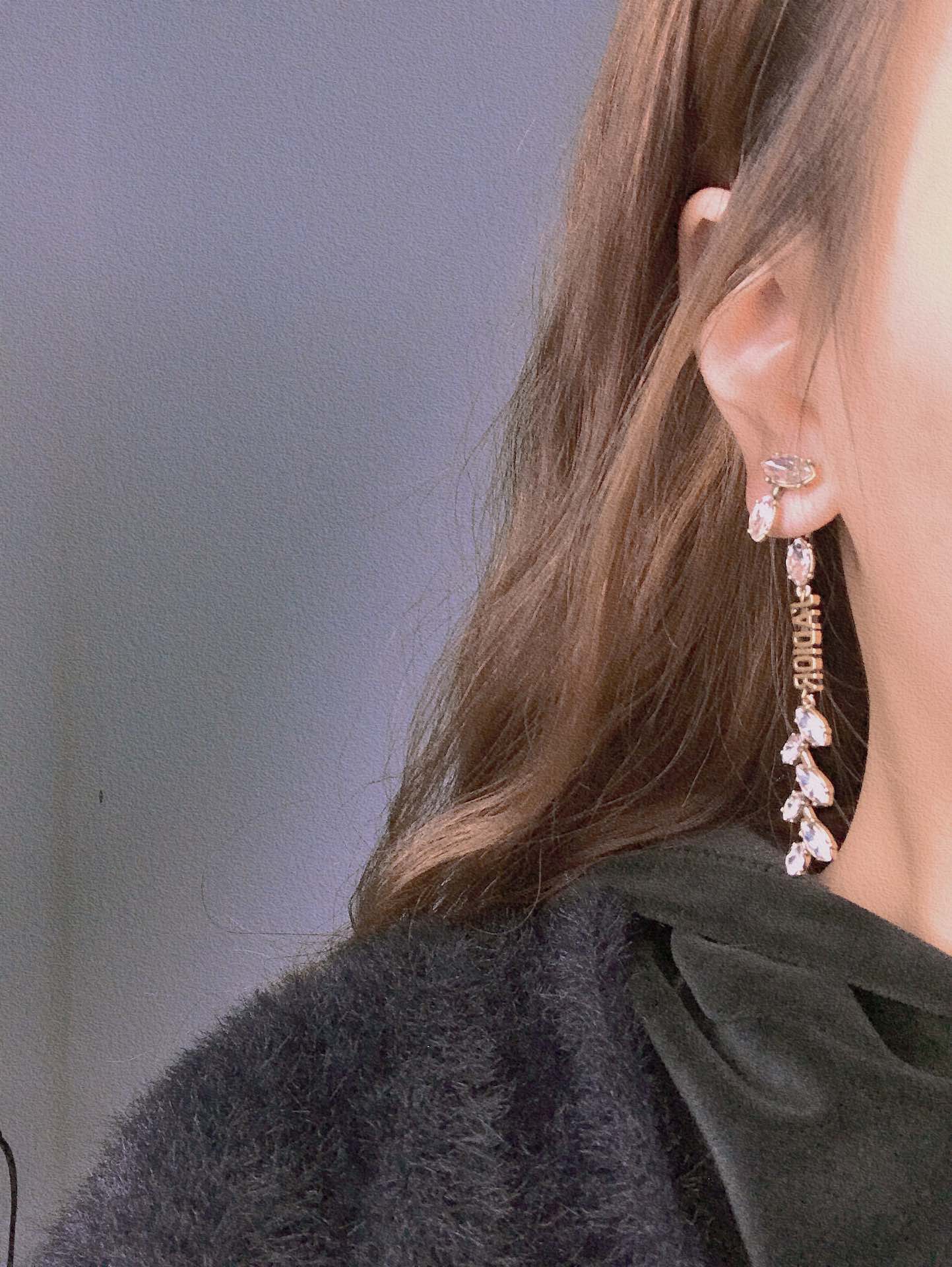 Dior Earrings