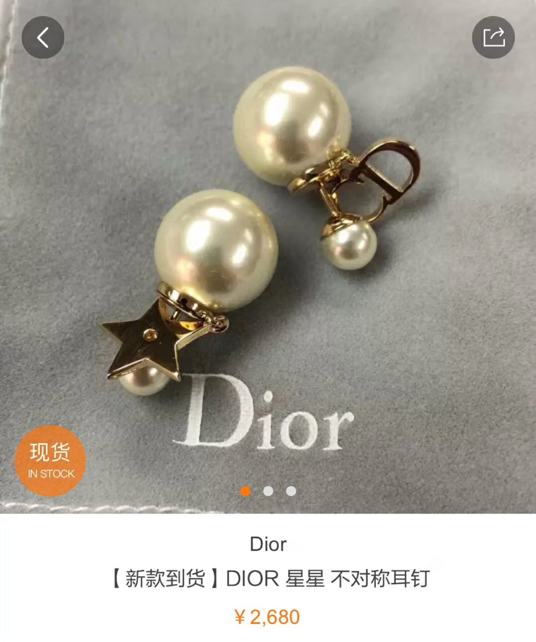 Dior Earrings Silver