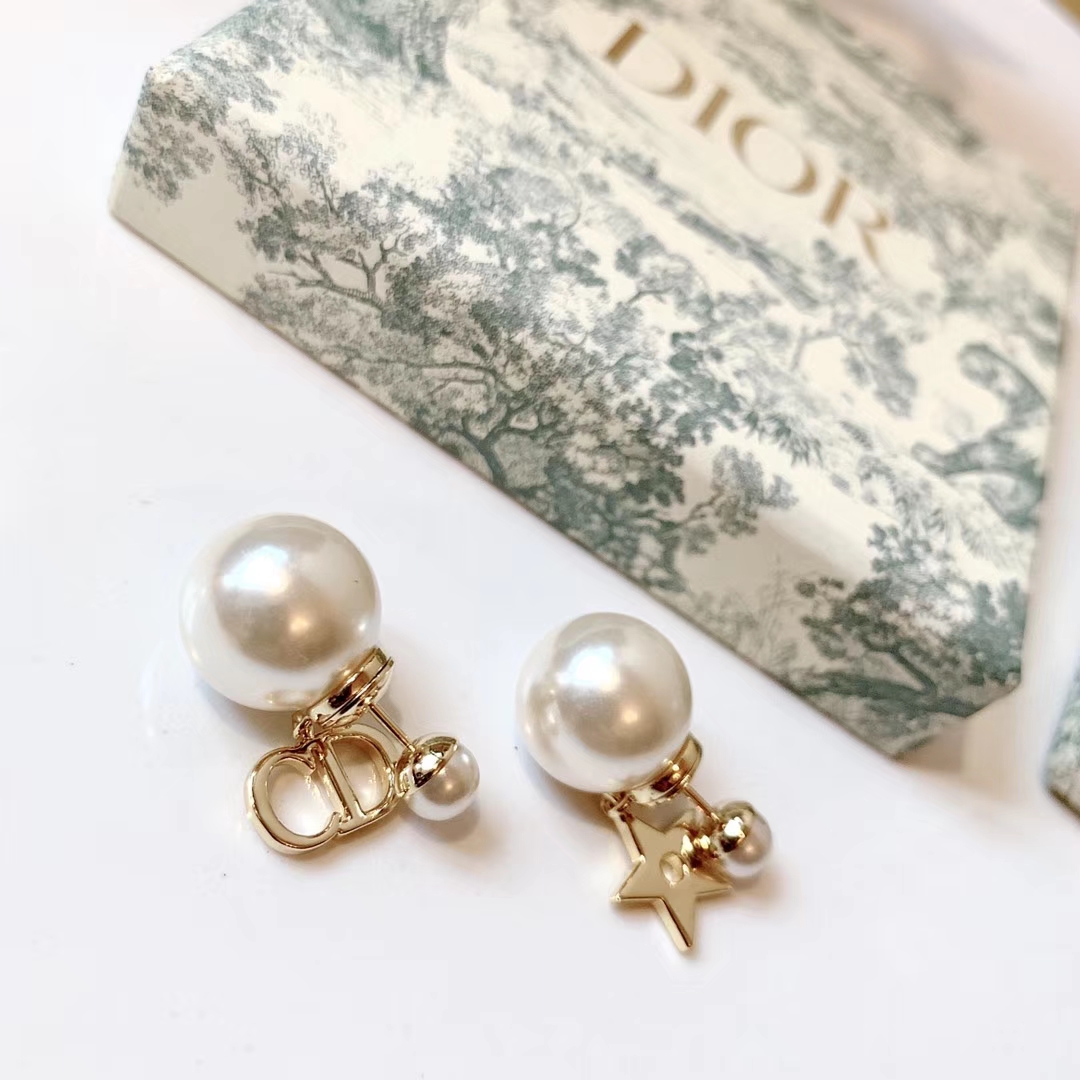 Dior Earrings Silver