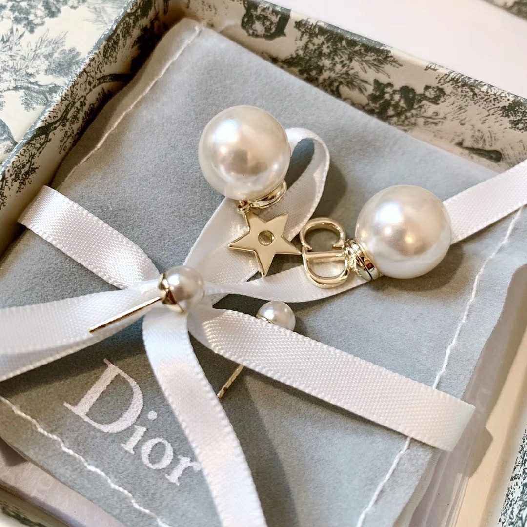 Dior Earrings Silver