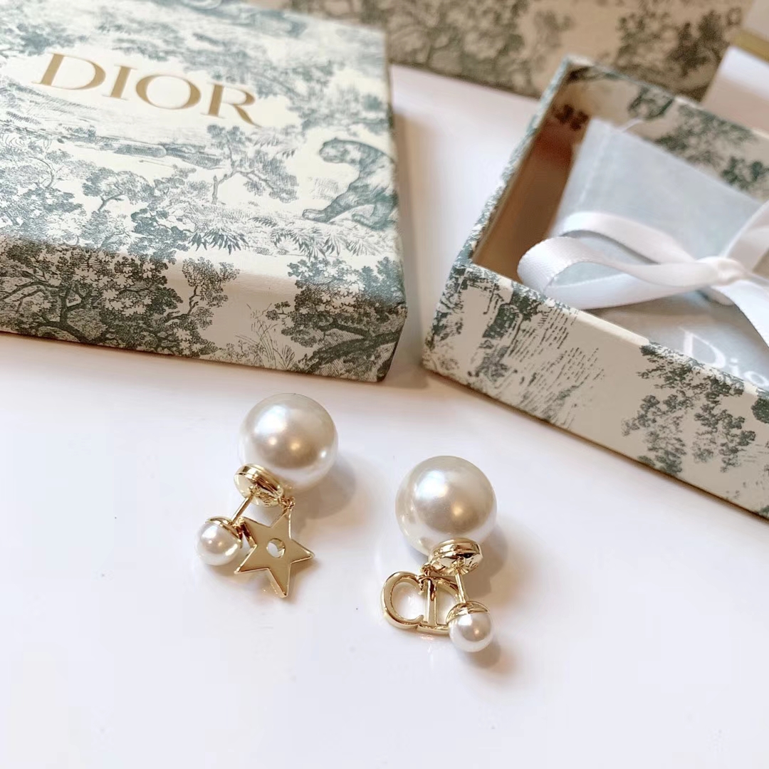 Dior Earrings Silver