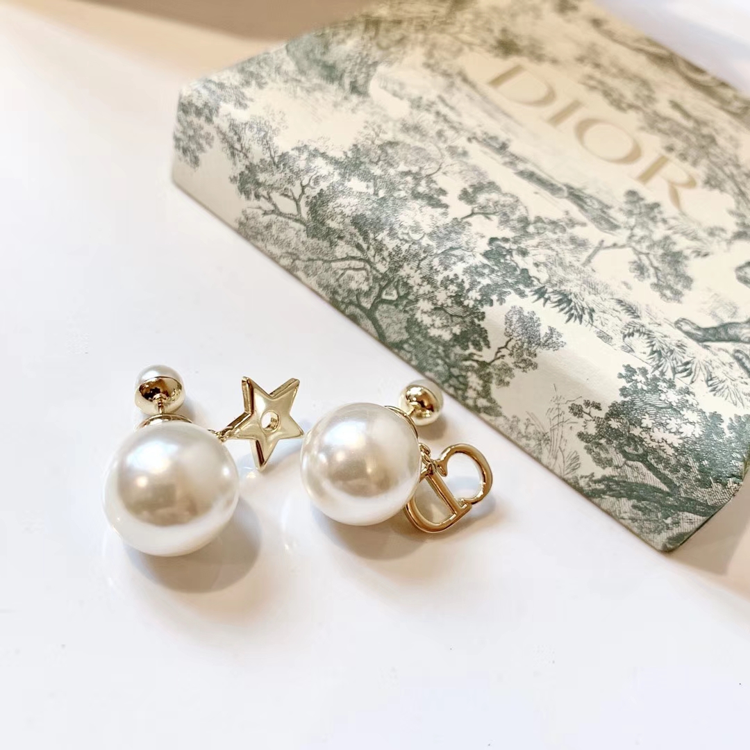 Dior Earrings Silver