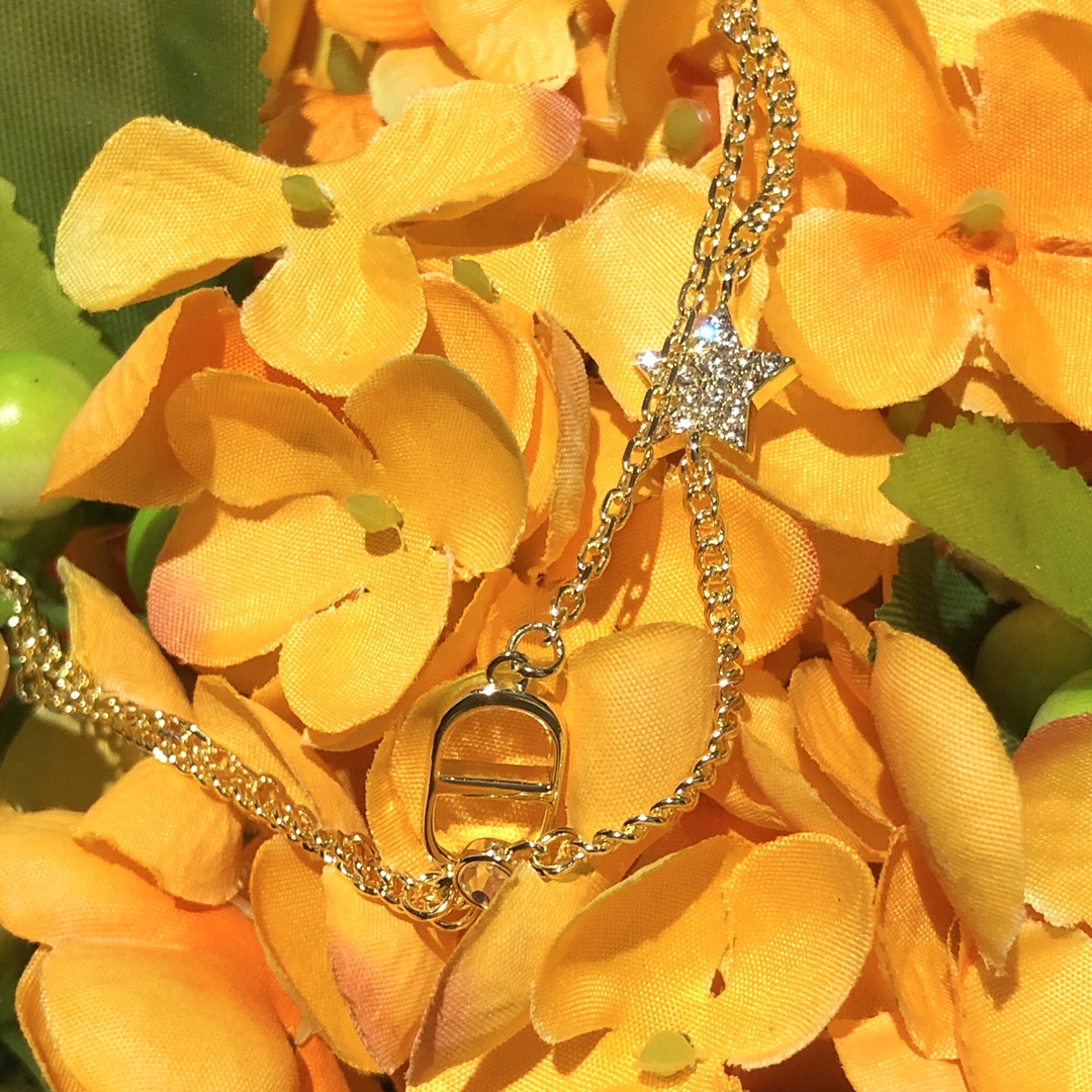 Dior Necklace Gold S-l