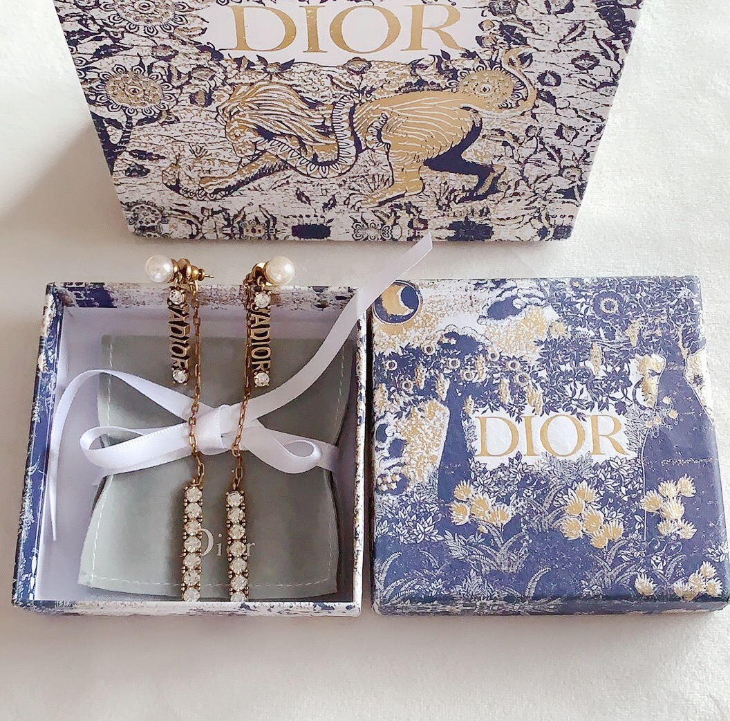 Dior Earrings Silver