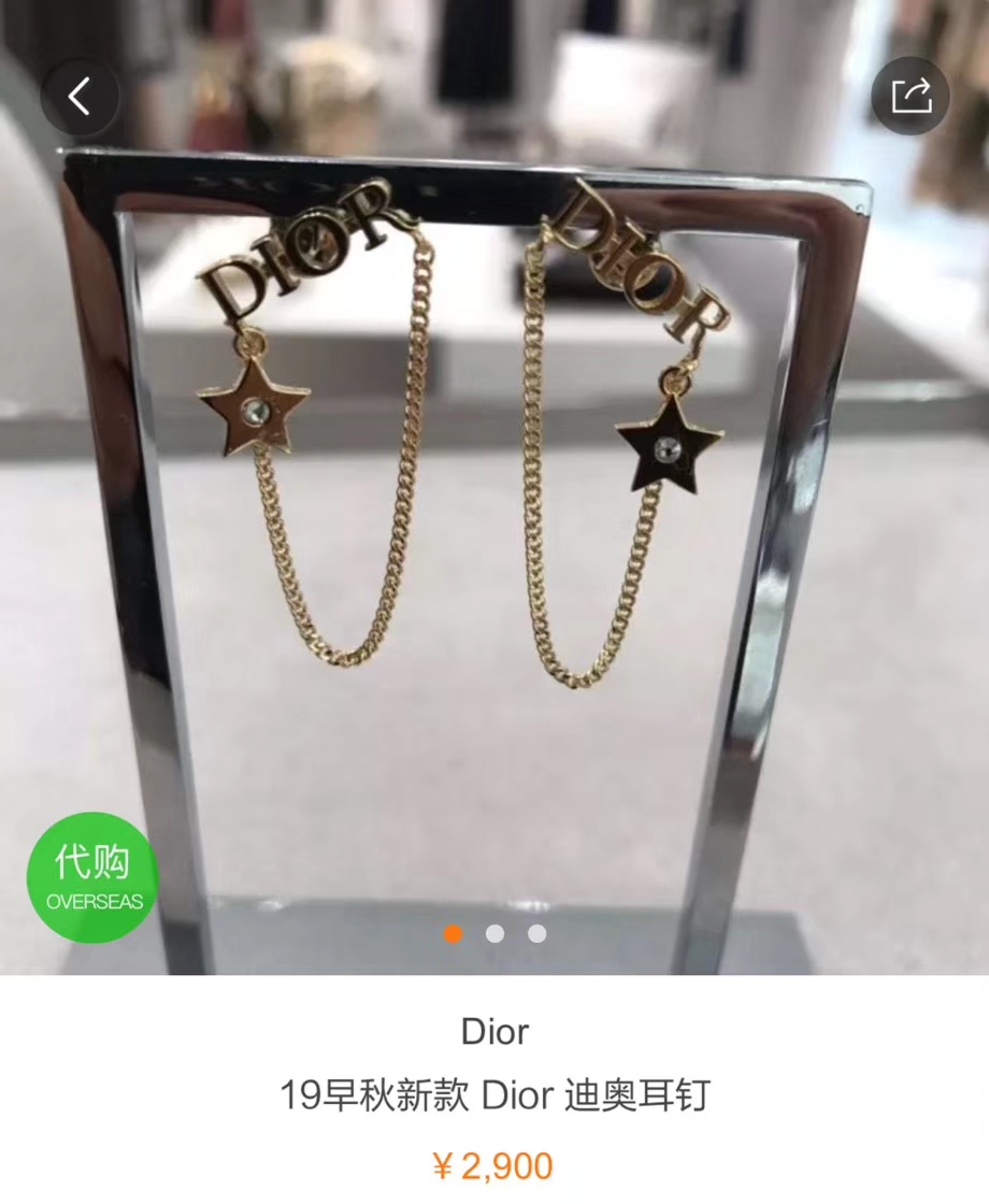 Dior Earrings Silver