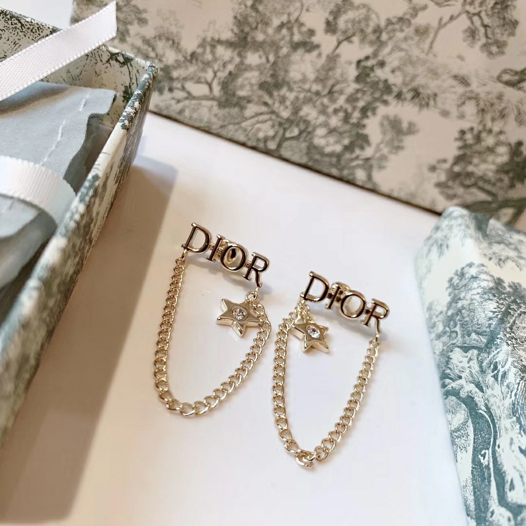 Dior Earrings Silver