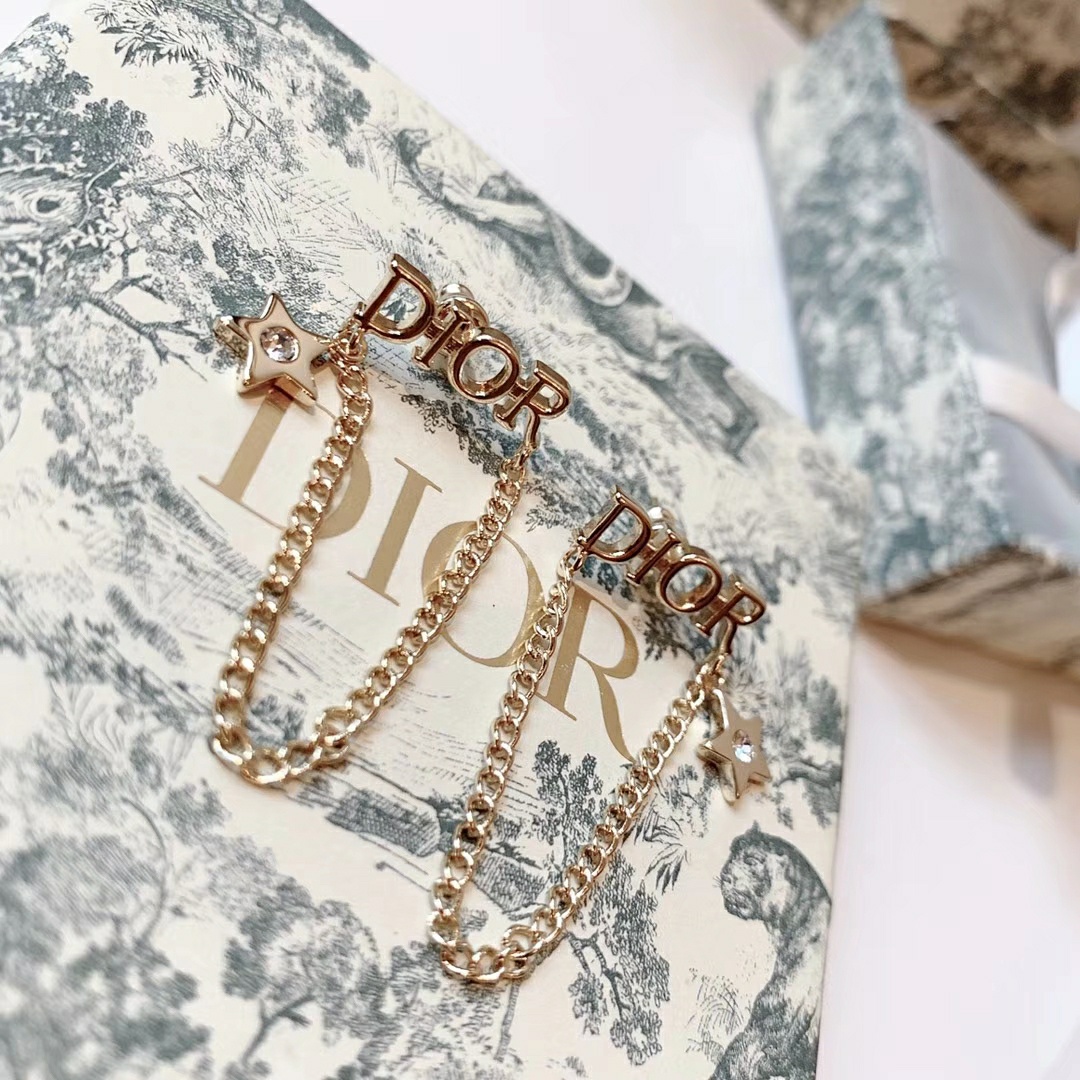 Dior Earrings Silver