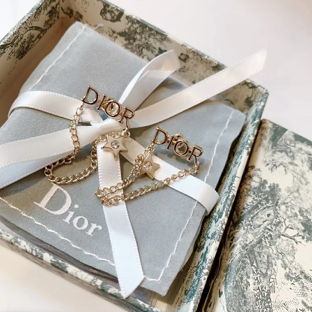 Dior Earrings Silver