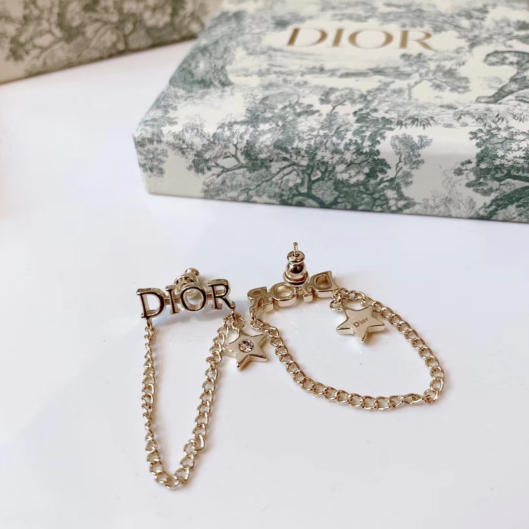 Dior Earrings Silver