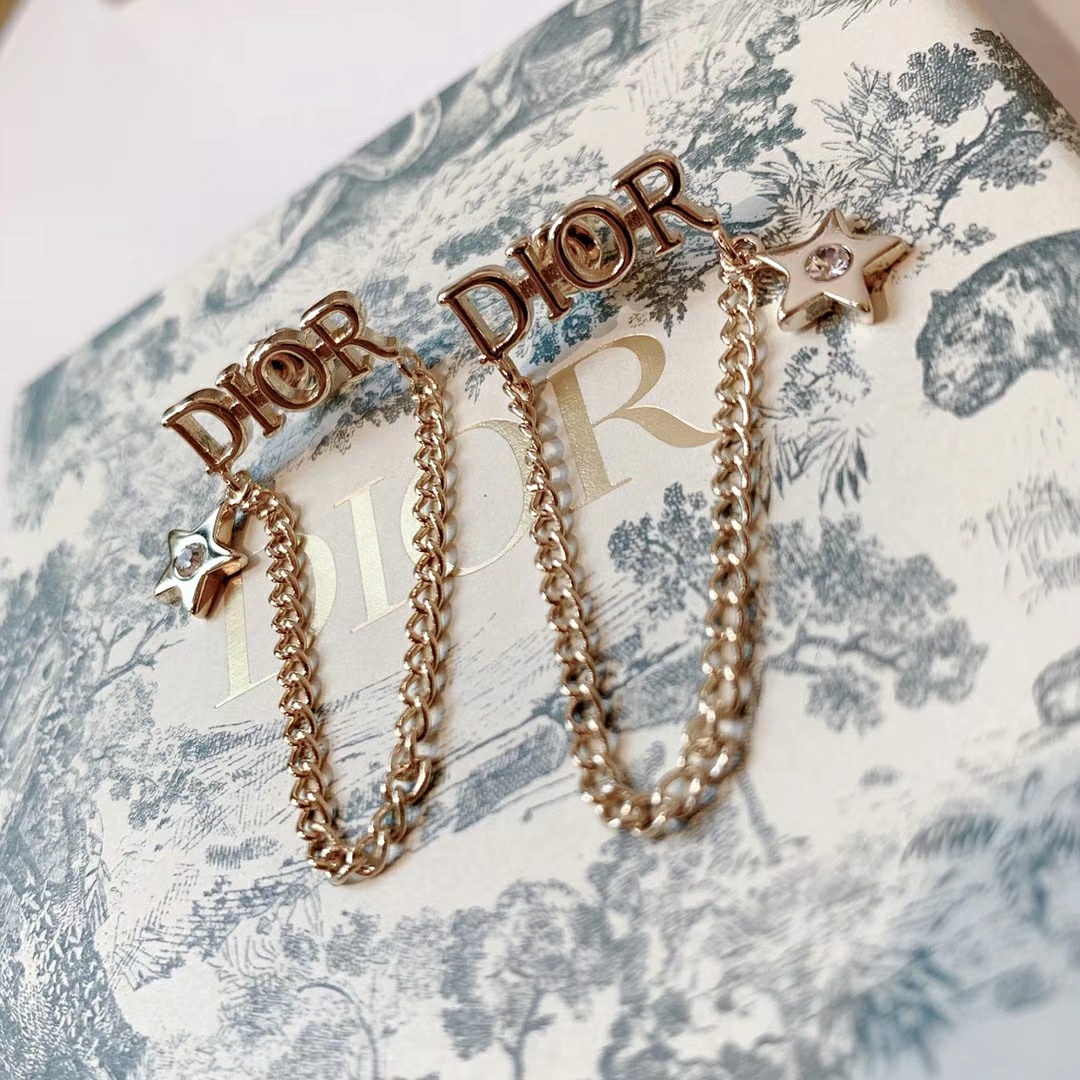 Dior Earrings Silver