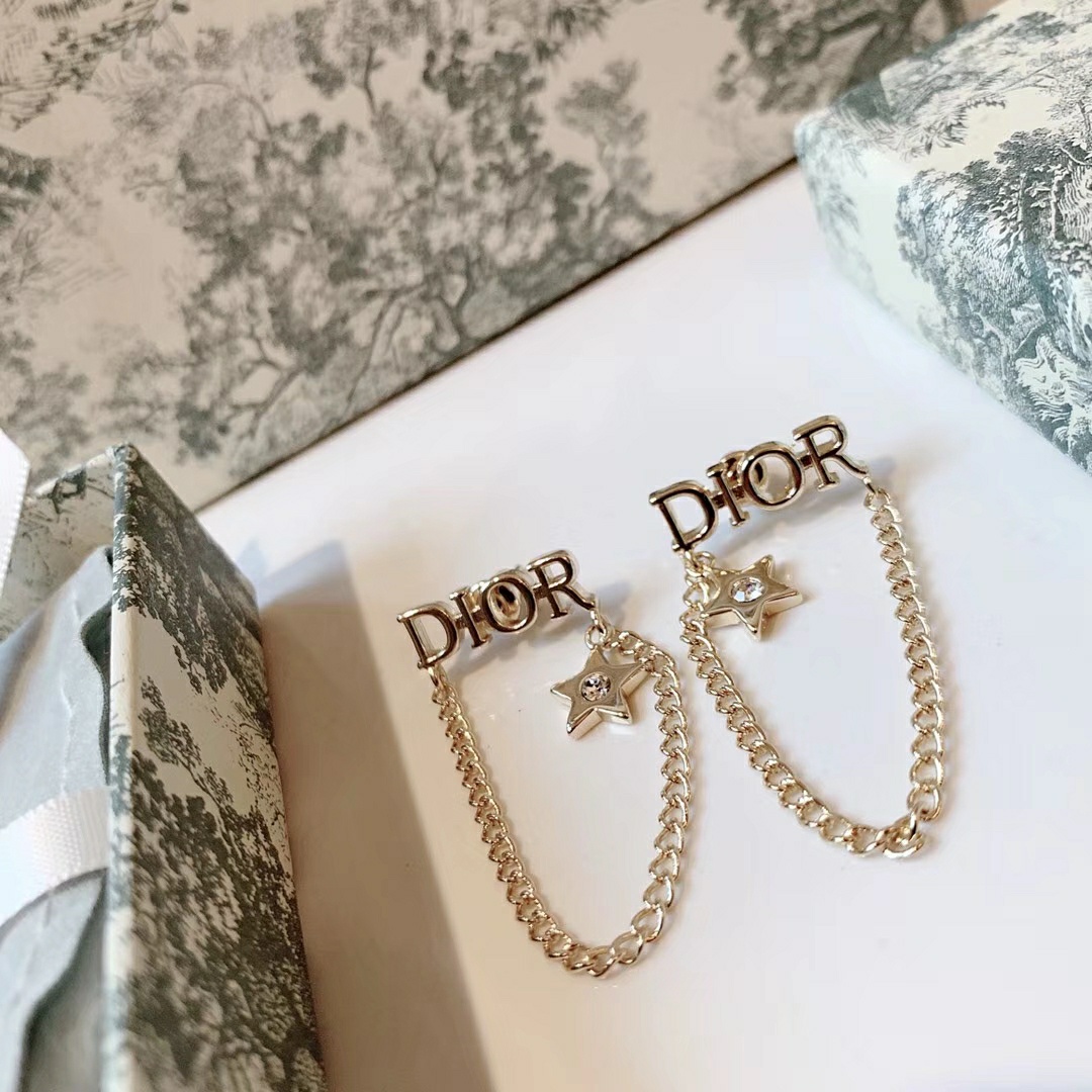 Dior Earrings Silver