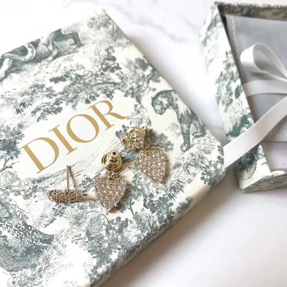 Dior Earrings Silver