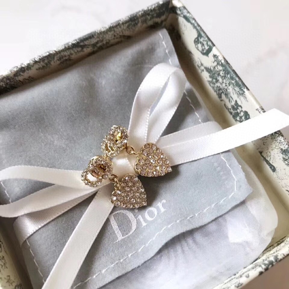 Dior Earrings Silver