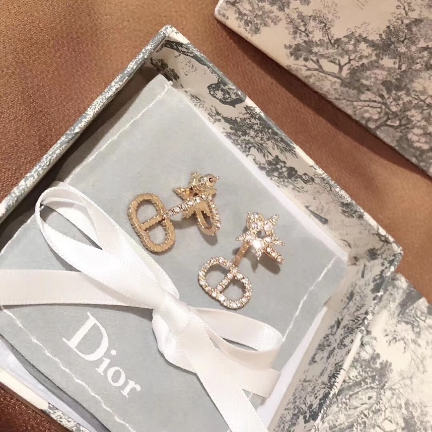Dior Earrings Silver