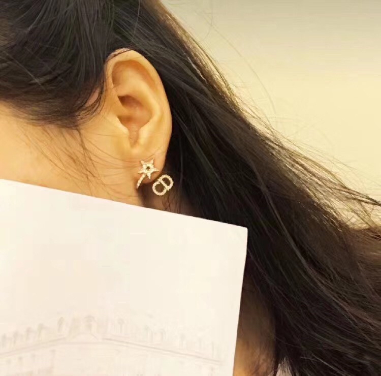 Dior Earrings Silver