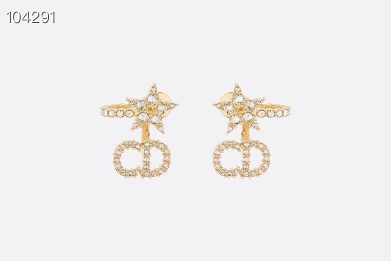 Dior Earrings Silver