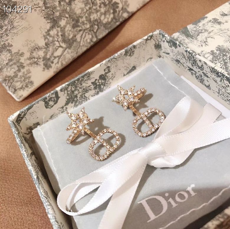 Dior Earrings Silver