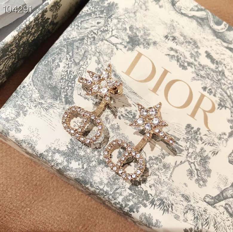Dior Earrings Silver