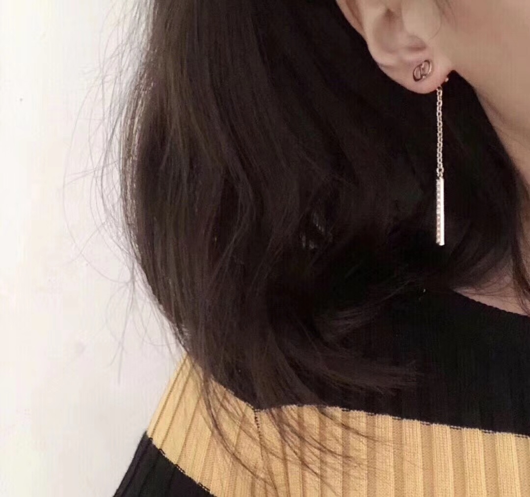 Dior Earrings Silver