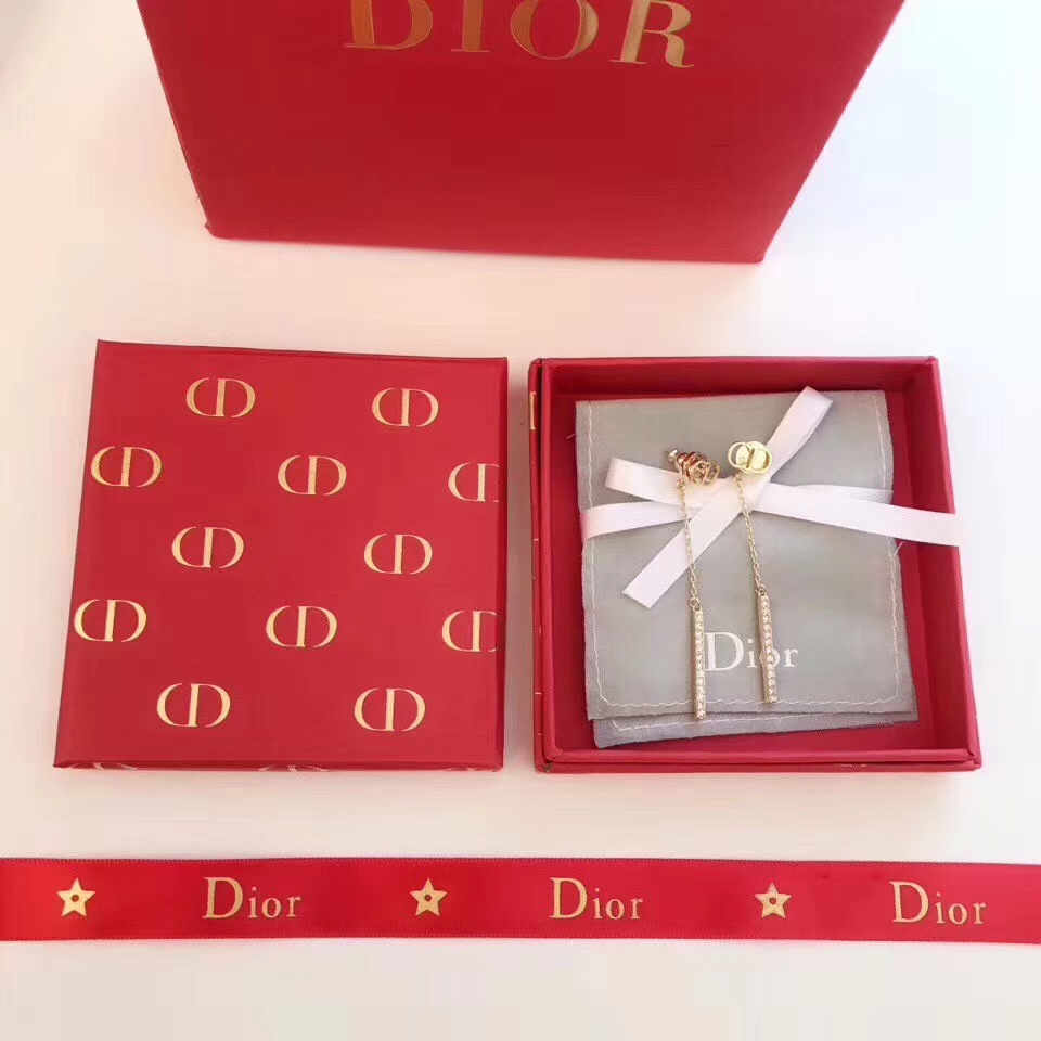Dior Earrings Silver
