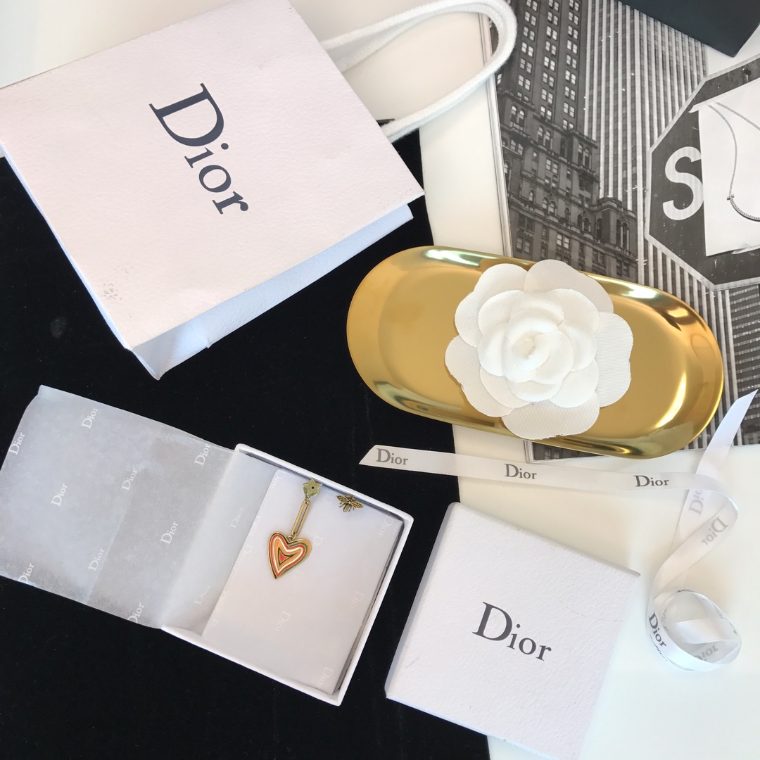 Dior Earrings Silver