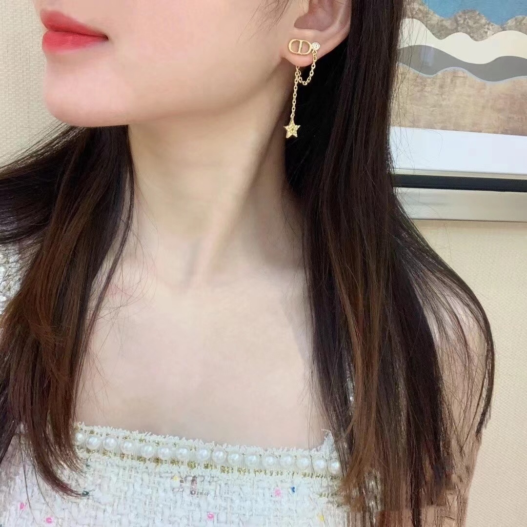 Dior Earrings Silver
