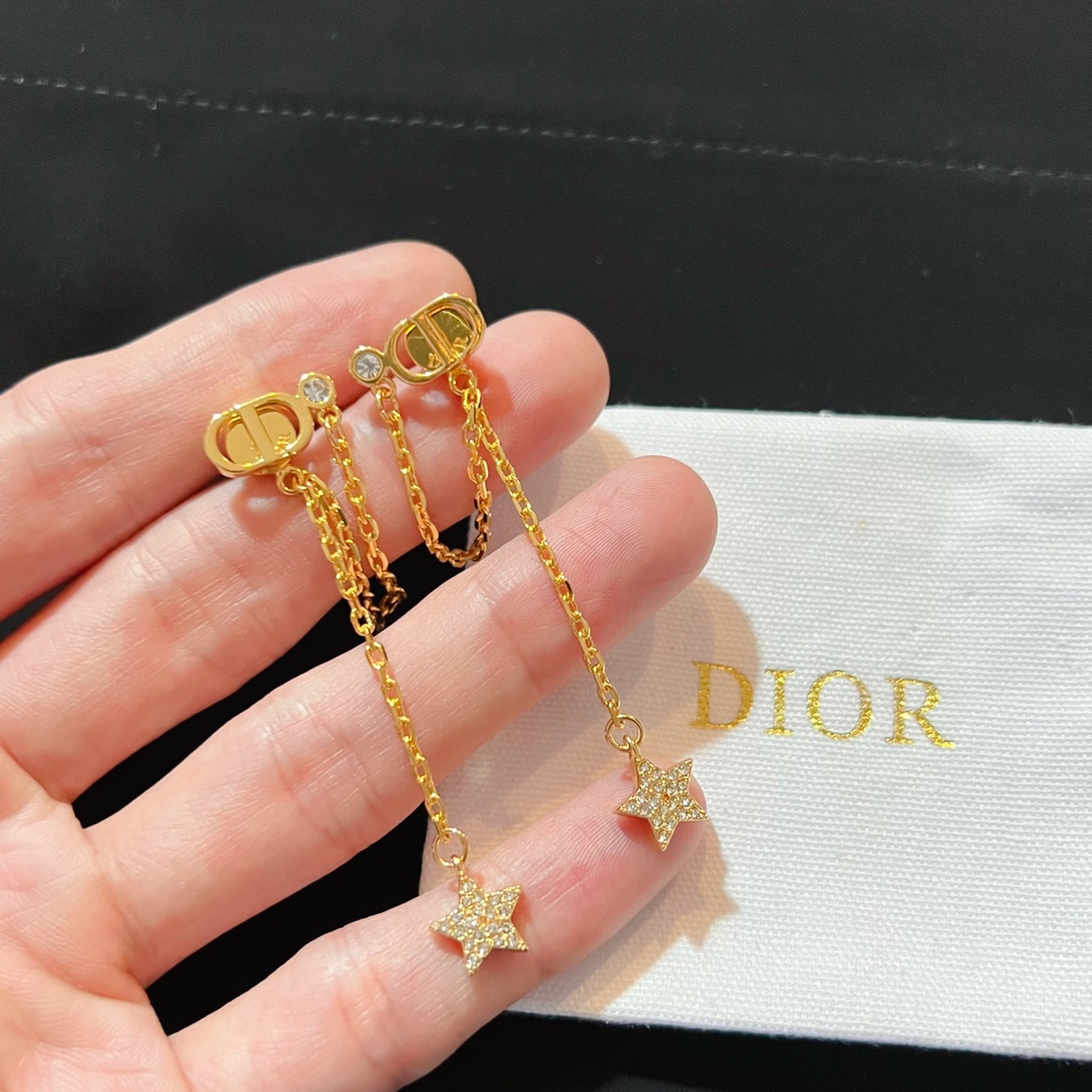 Dior Earrings Silver