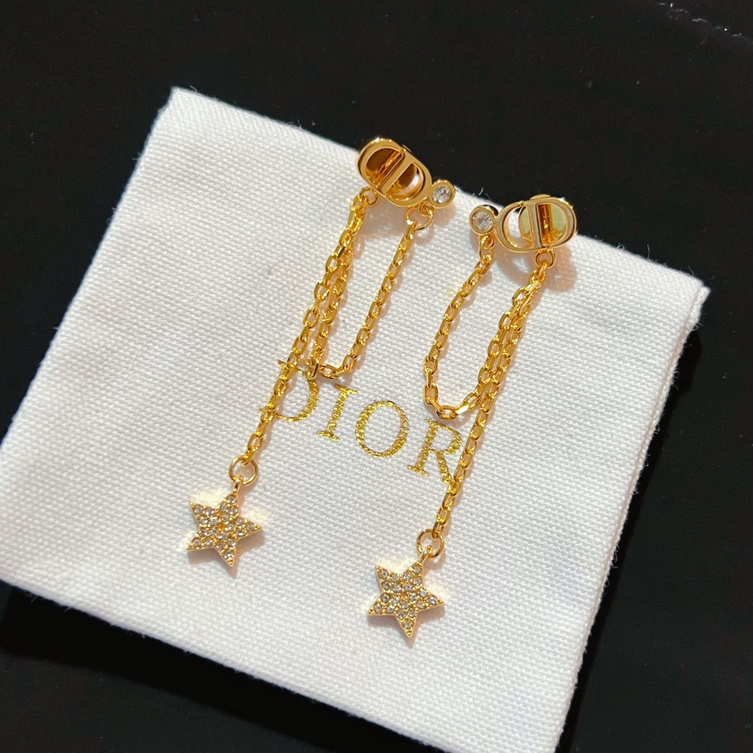 Dior Earrings Silver