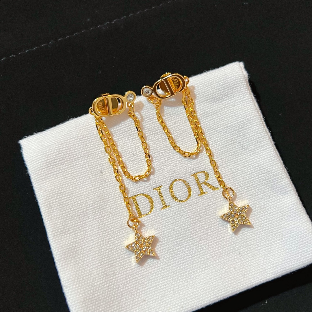 Dior Earrings Silver