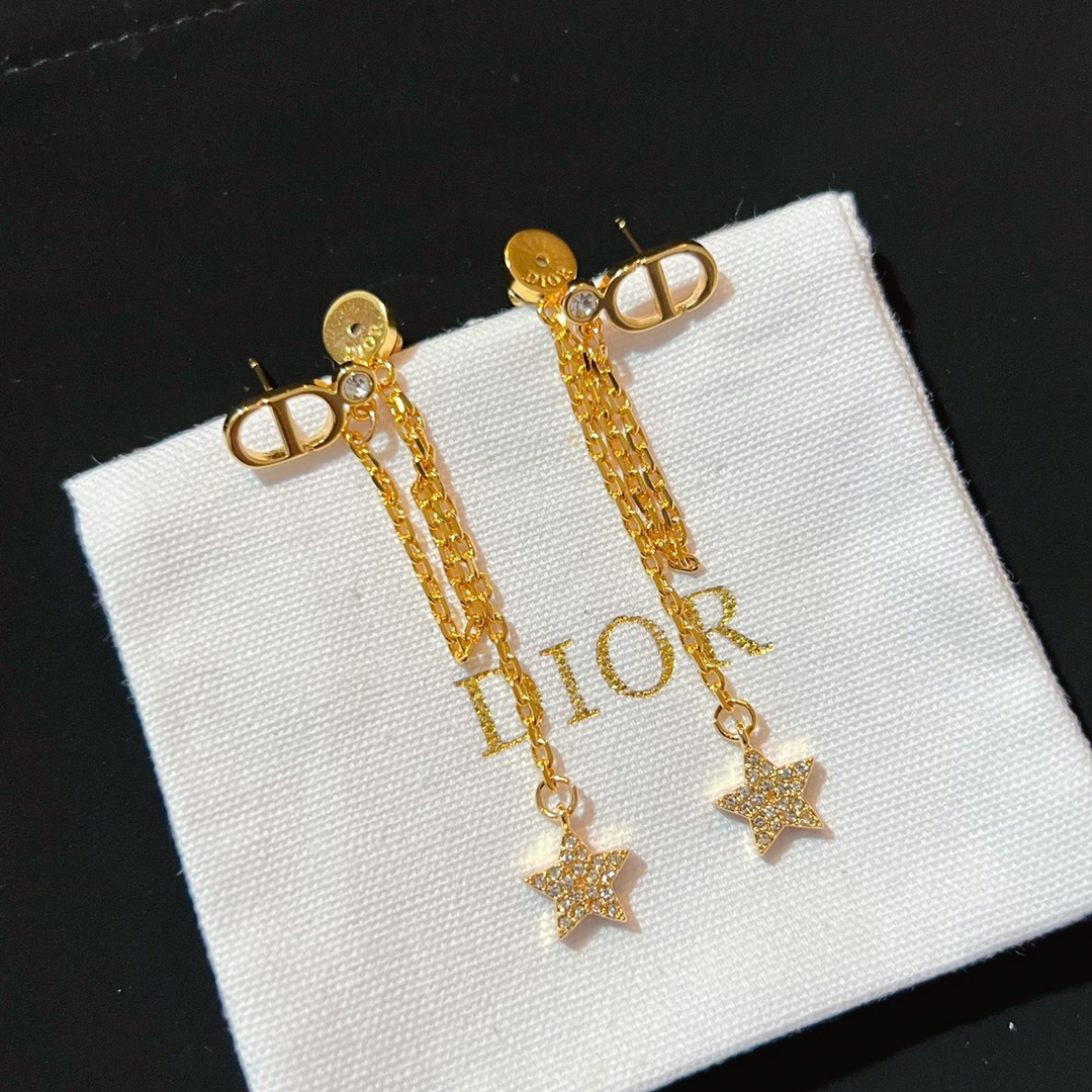 Dior Earrings Silver