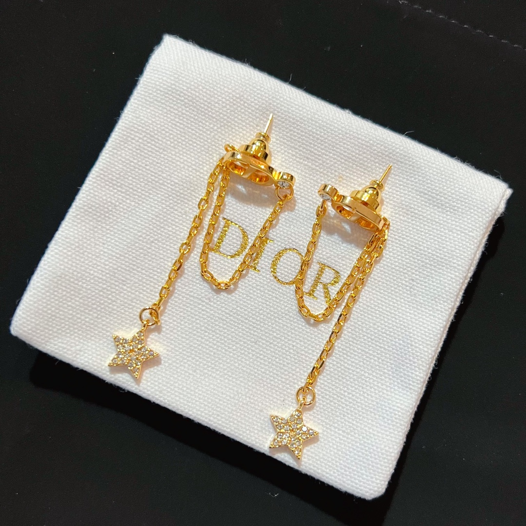 Dior Earrings Silver