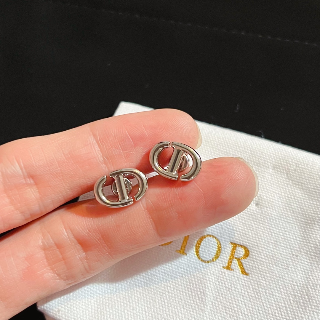 Dior Earrings Silver