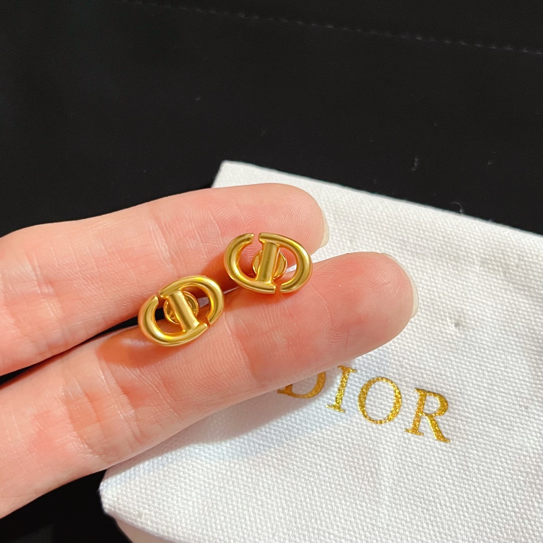 Dior Earrings Silver