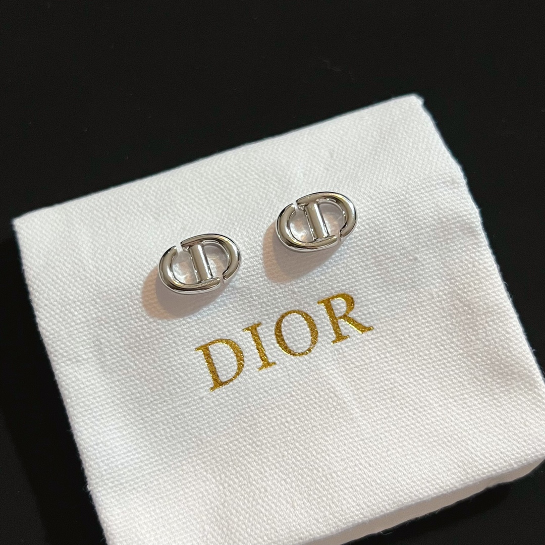 Dior Earrings Silver