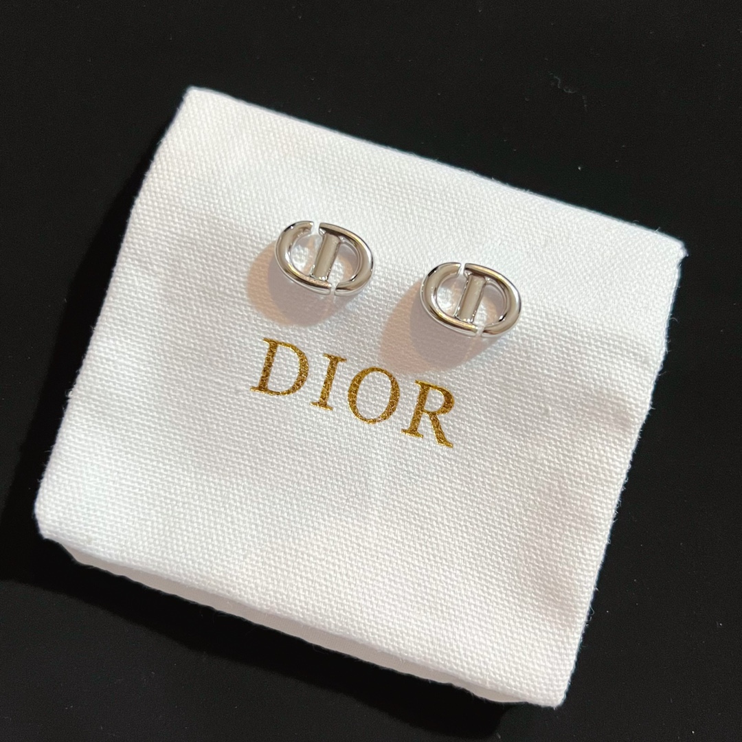 Dior Earrings Silver