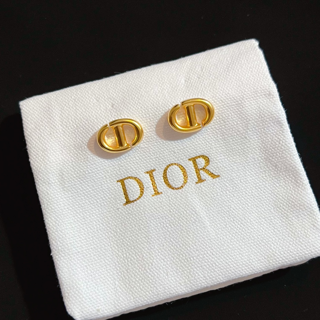 Dior Earrings Silver