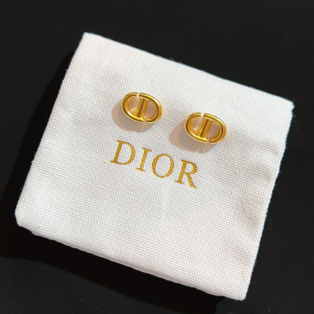 Dior Earrings Silver