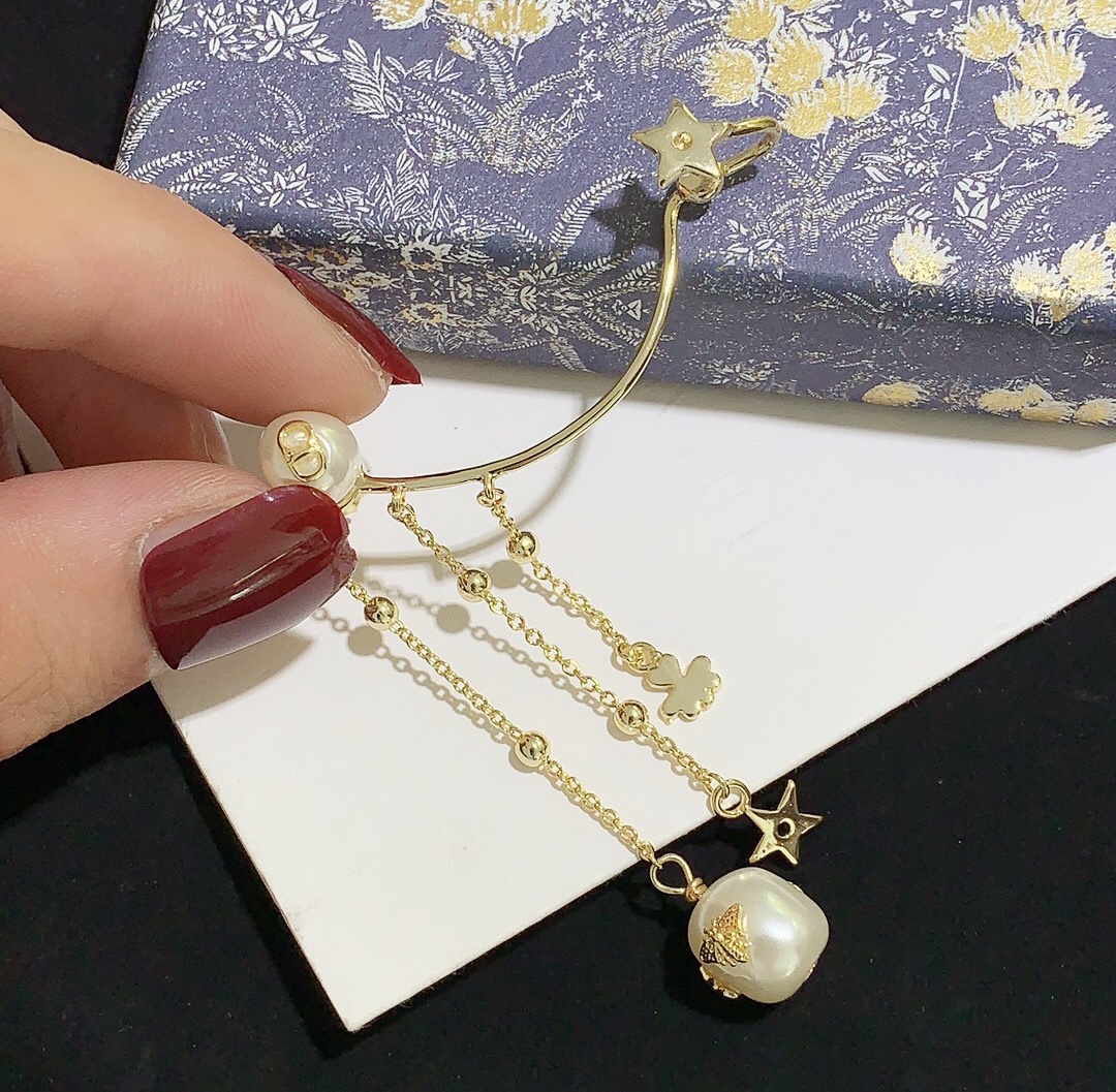 Dior Earrings Silver