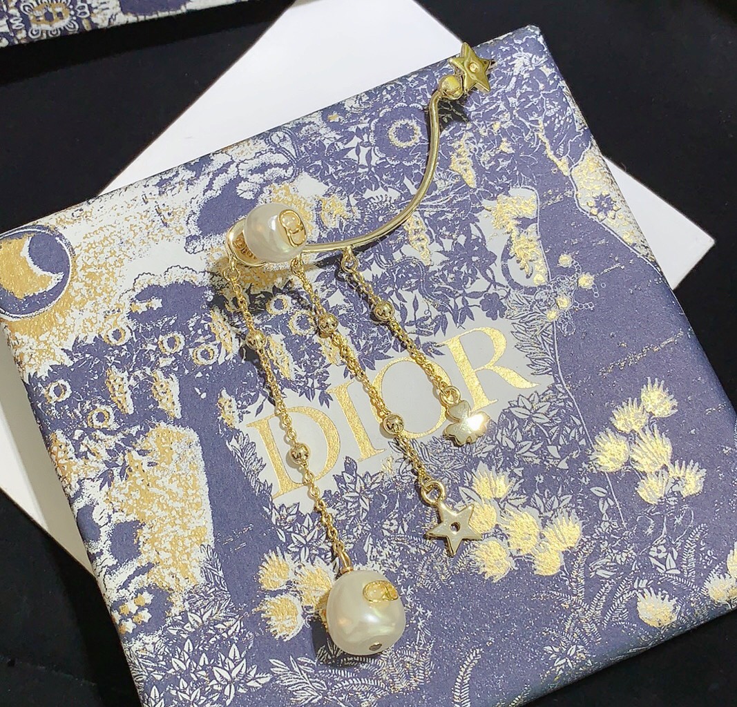 Dior Earrings Silver