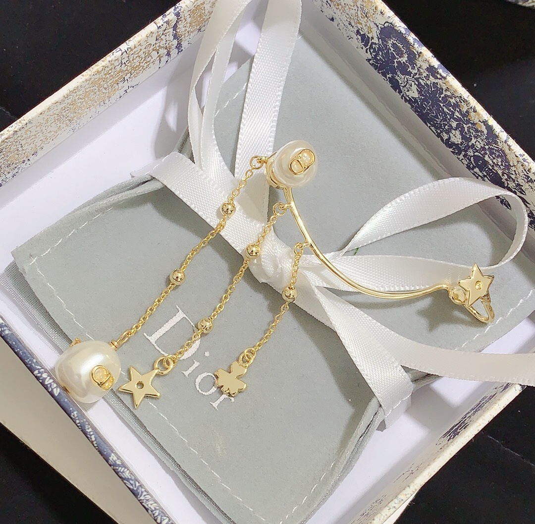 Dior Earrings Silver