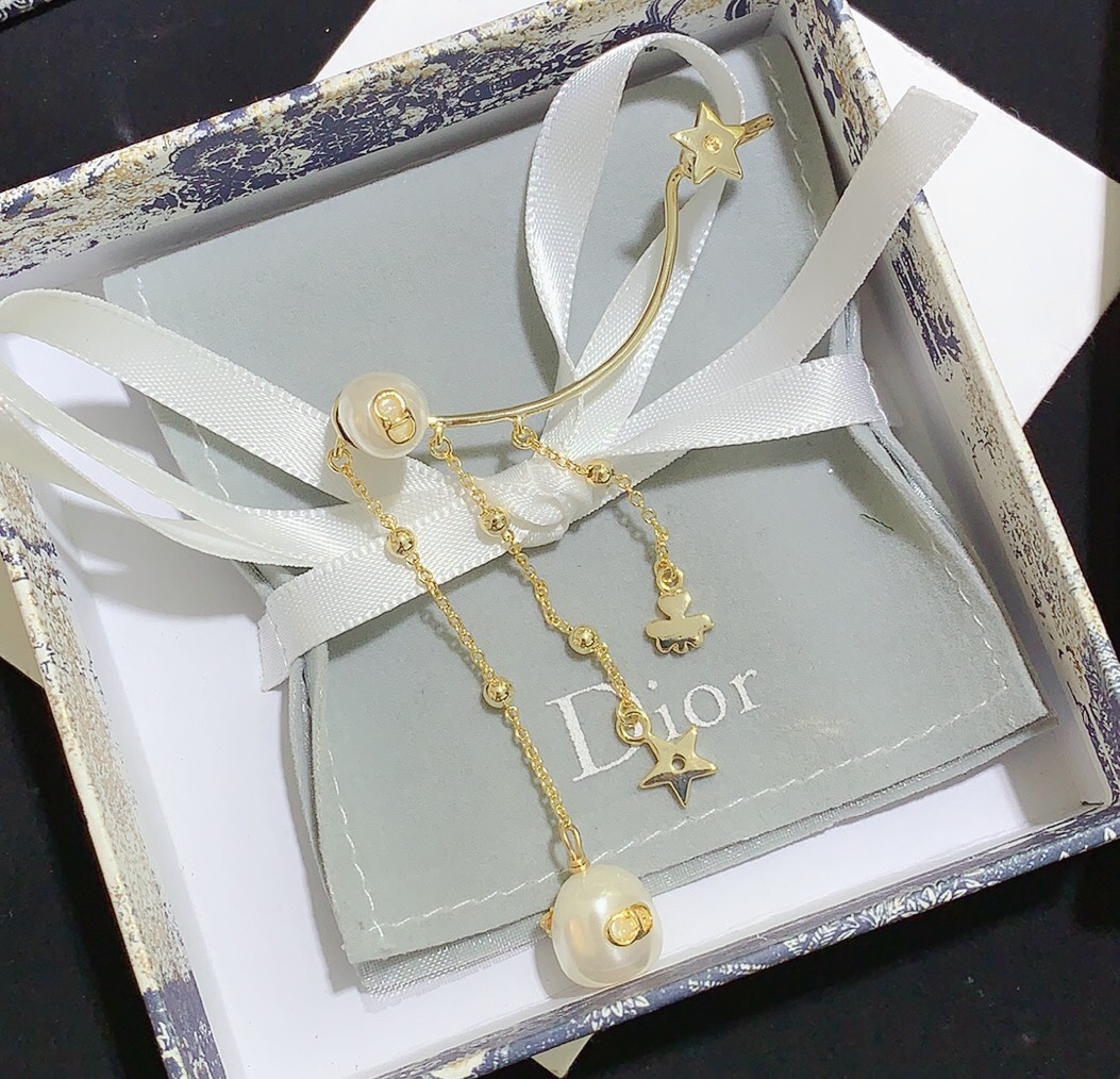 Dior Earrings Silver