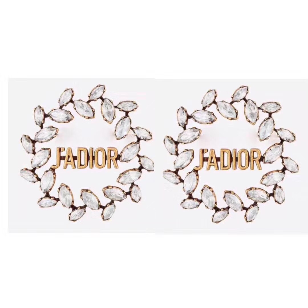 Dior Earrings Silver