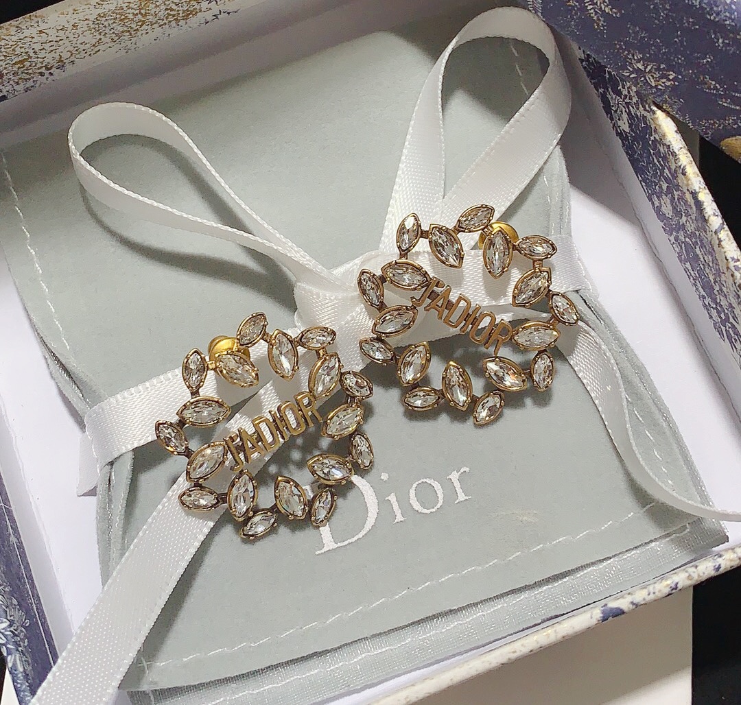 Dior Earrings Silver