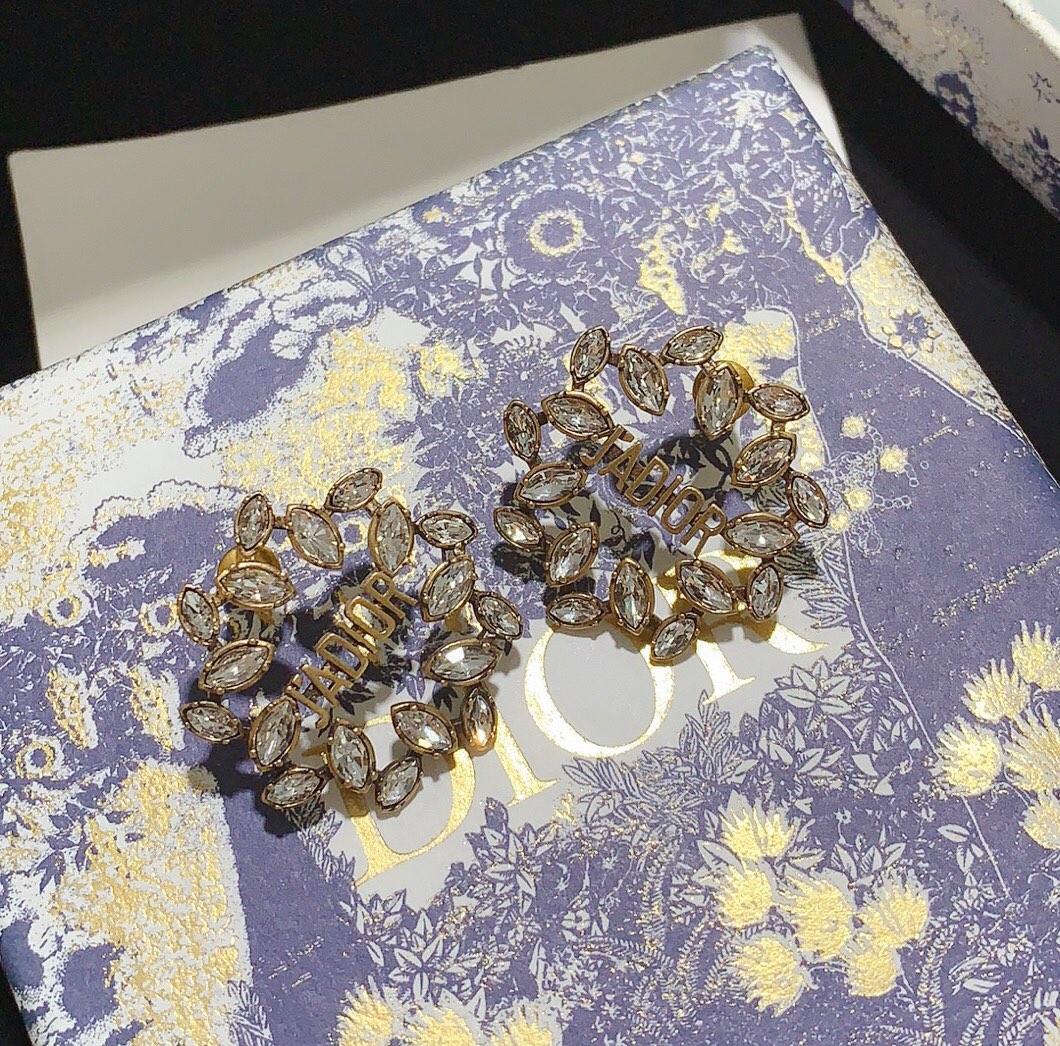 Dior Earrings Silver