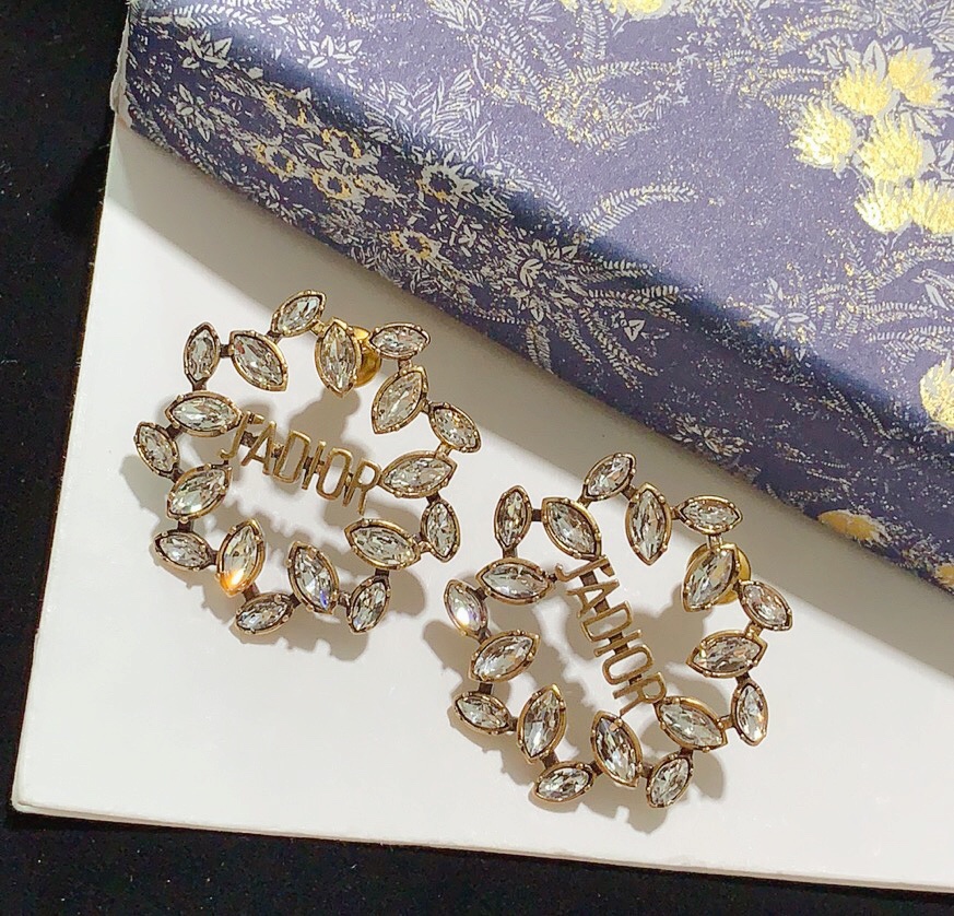 Dior Earrings Silver