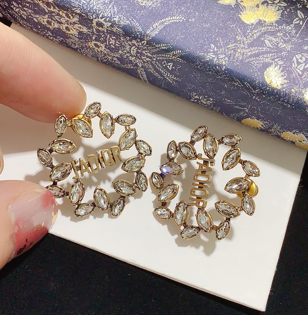 Dior Earrings Silver