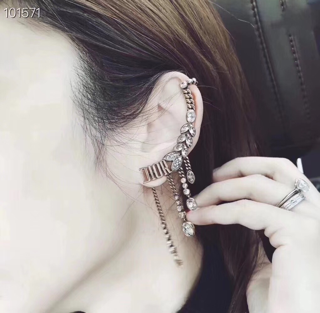 Dior Earrings Silver