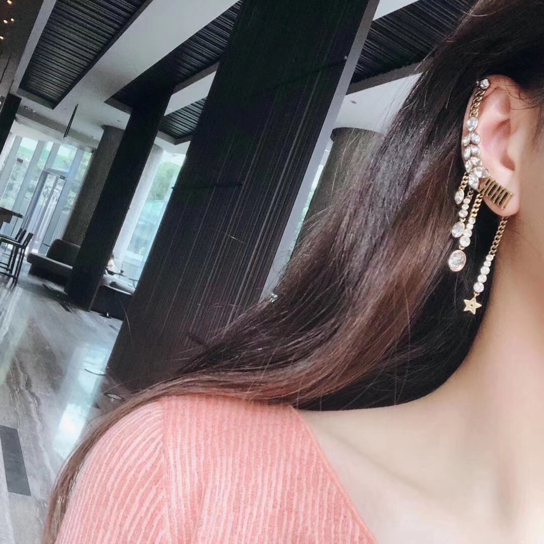 Dior Earrings Silver