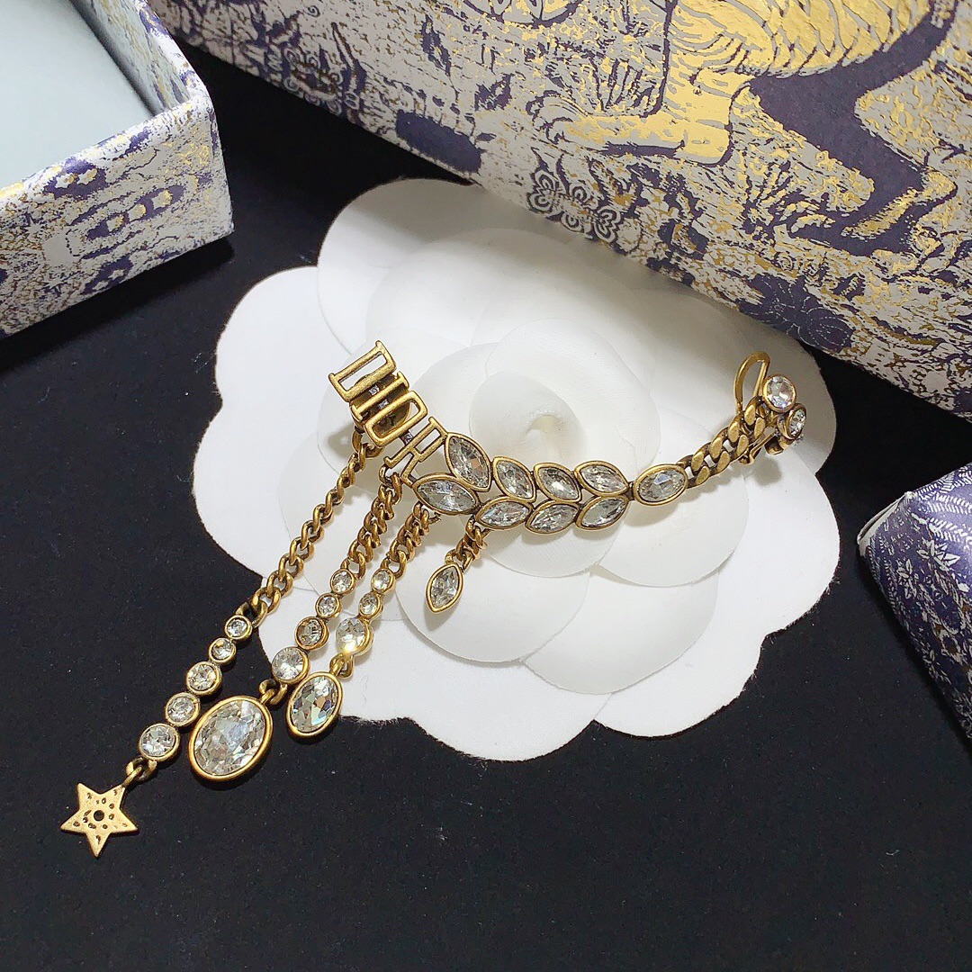 Dior Earrings Silver