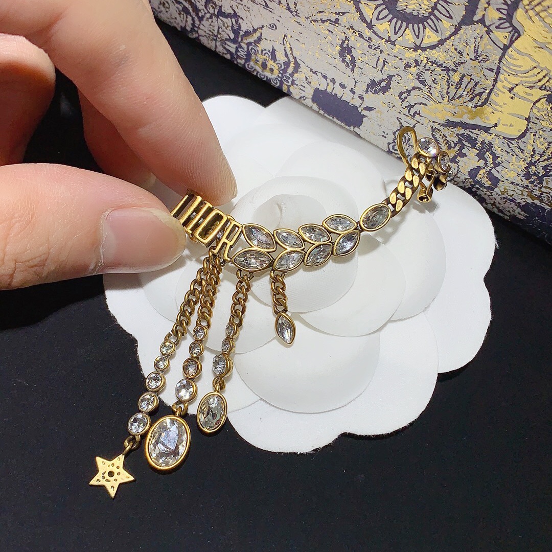 Dior Earrings Silver